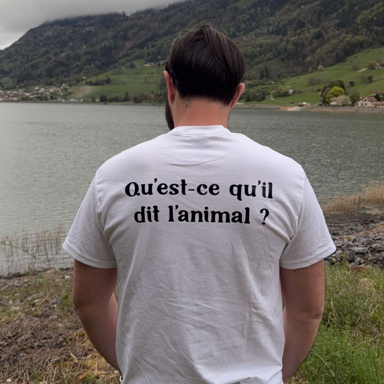 Qu'est-ce qu'il dit l'animal ?